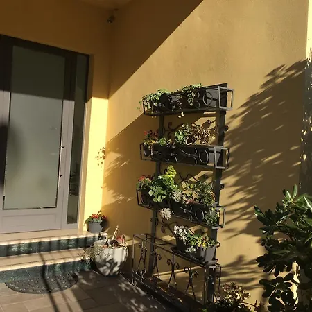 Flora Casa de hóspedes